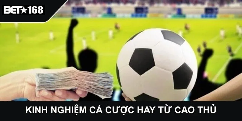 Kinh nghiệm cá cược hay từ cao thủ
